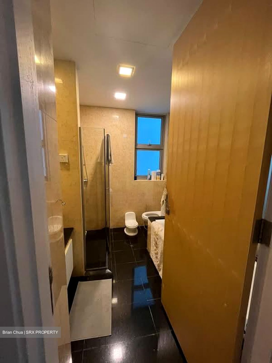 Cairnhill Crest (D9), Condominium #581870831